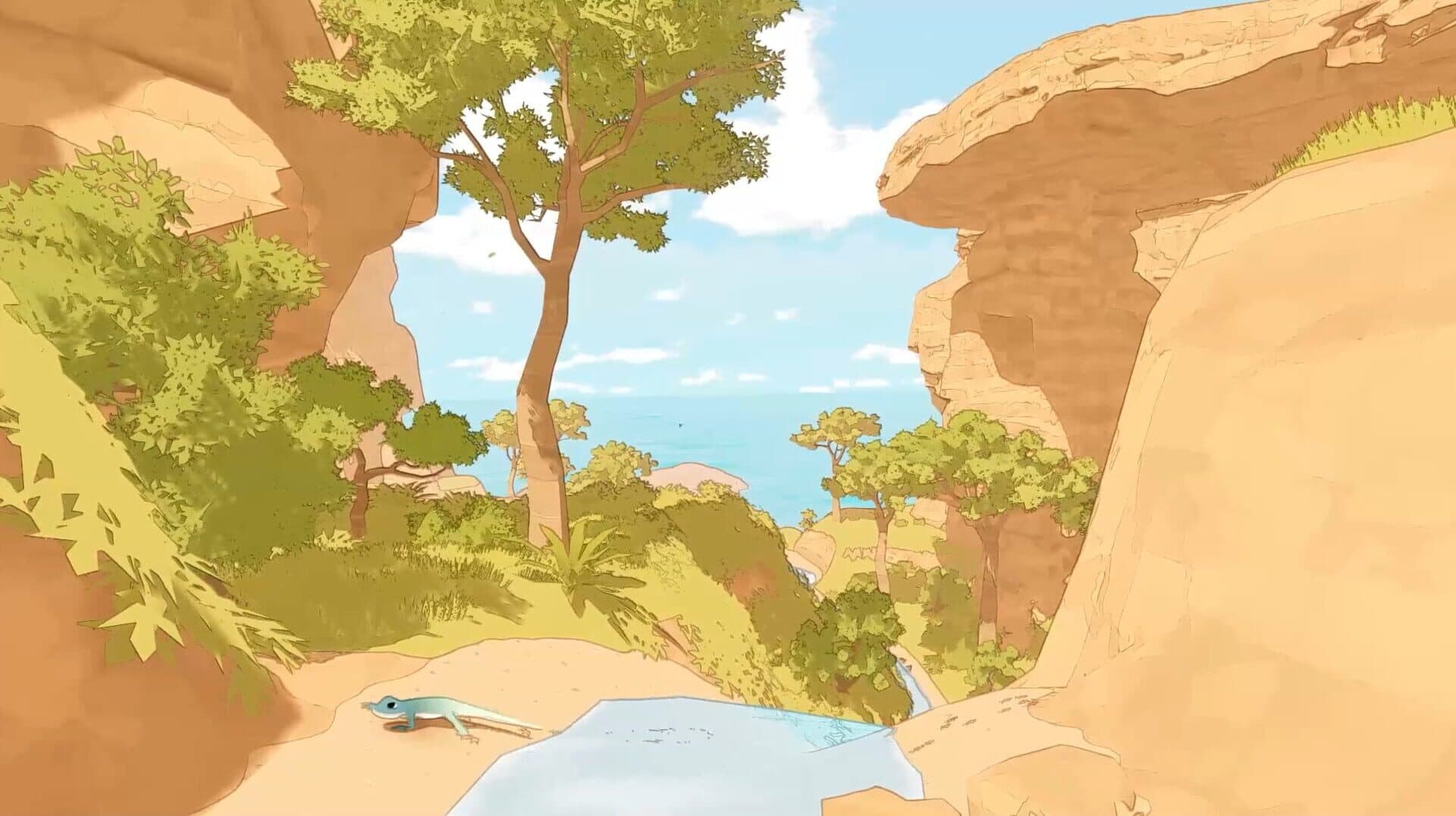 Gecko Gods: the sacred lizard climbing where others don't dare