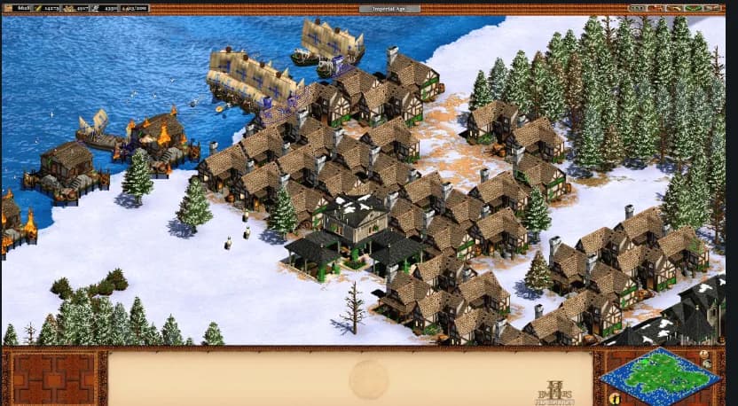 Age of Empires 2