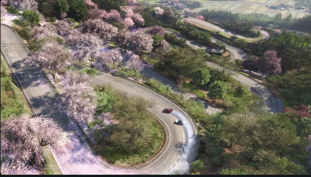 Forza Horizon 6, conduite