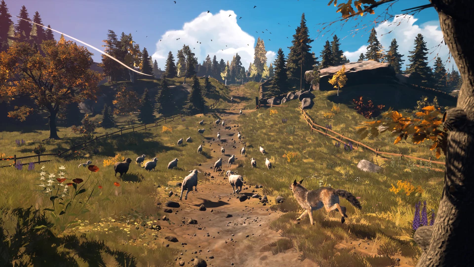 Hubert: a tale of friendship, bravery, and barking at sheep