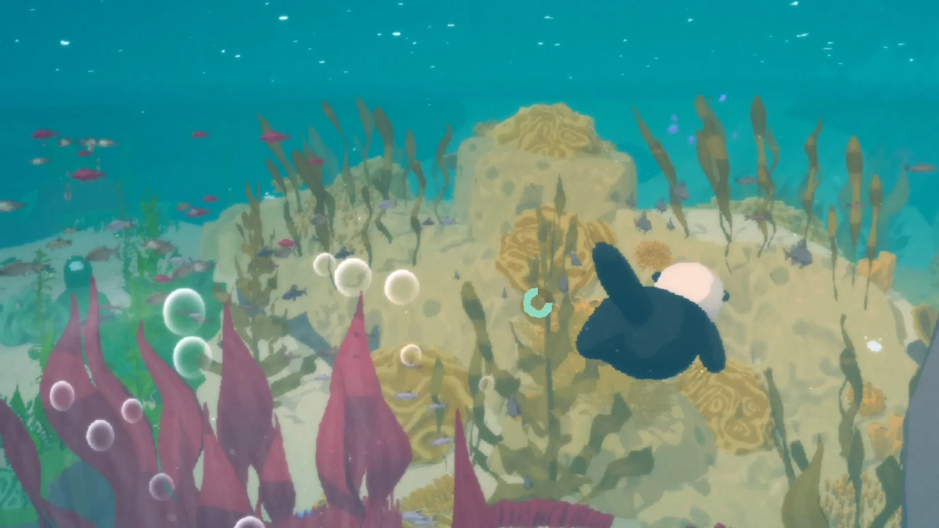Otterly Lost: an otter, a favourite rock, and a world to cross to get home
