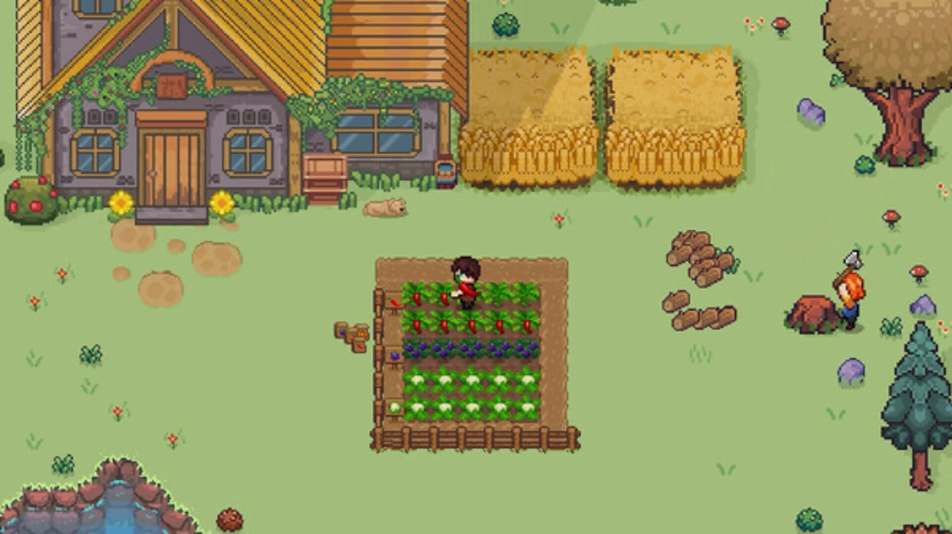 Pawsome Resort, l'hôtel pour animaux en pixel art
