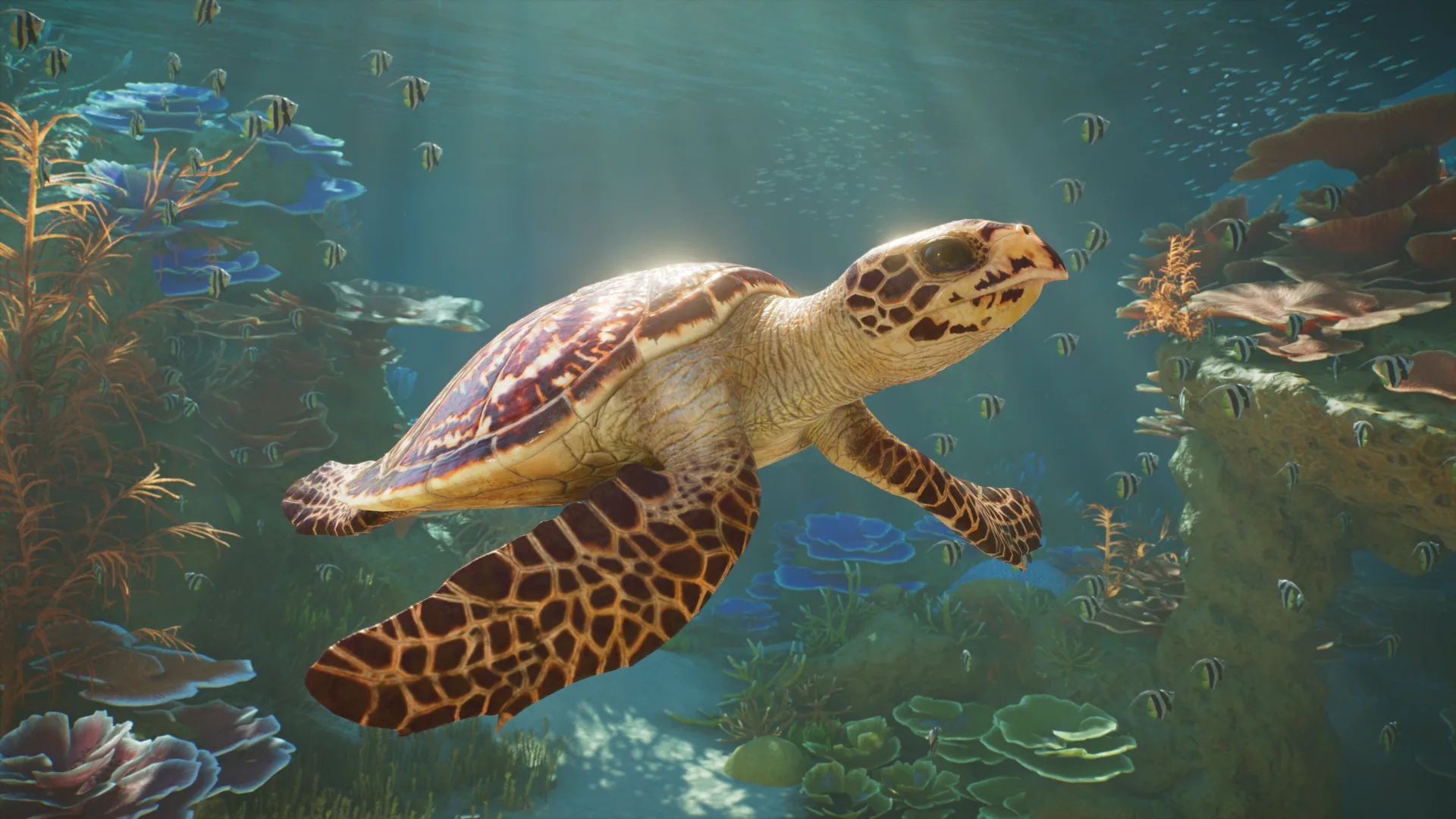 Planet Zoo 2, un aquarium