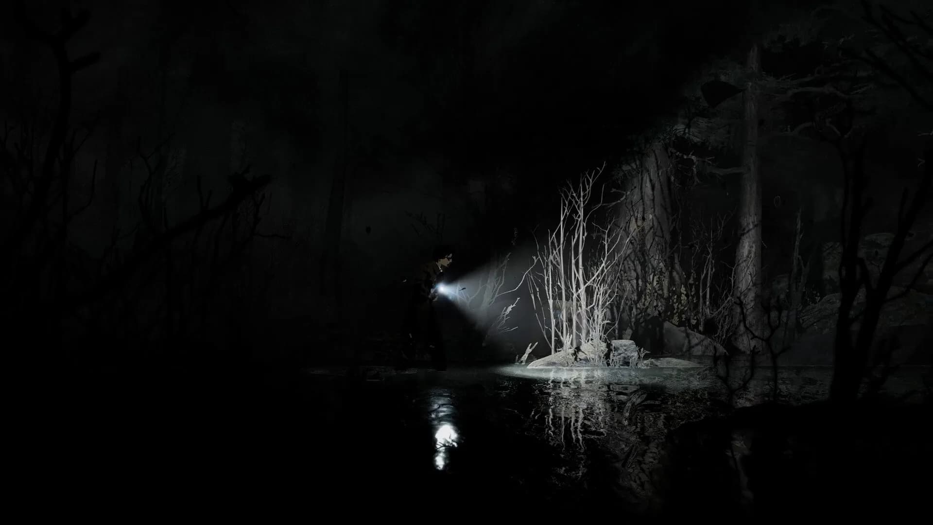 Silver Pines, une rencontre dans le noir