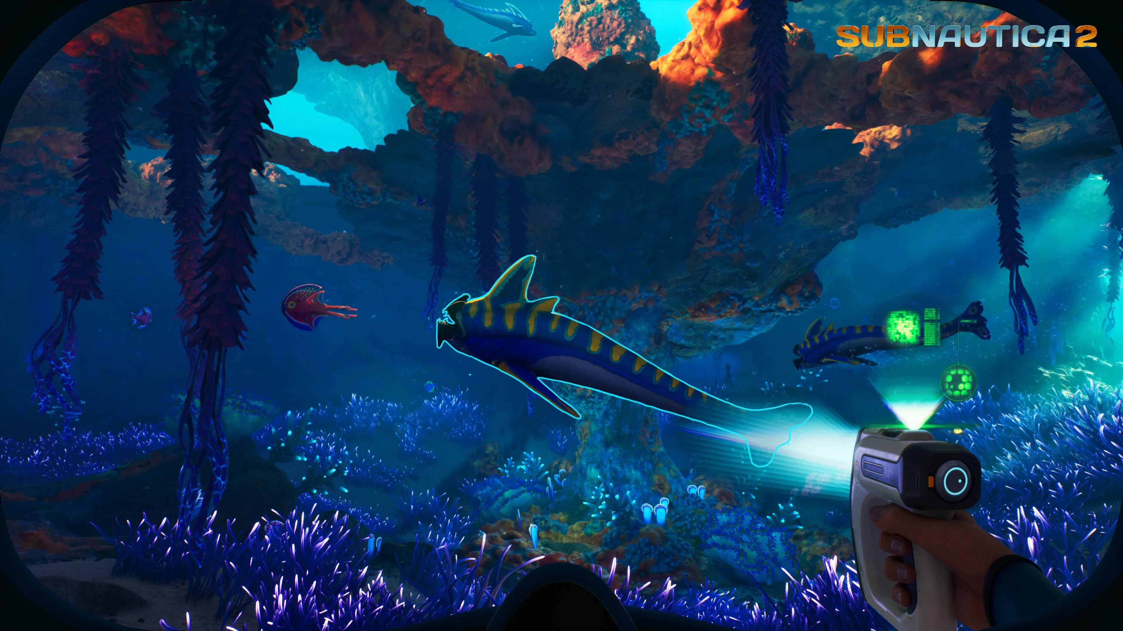Subnautica 2, biome des hauts-fonds