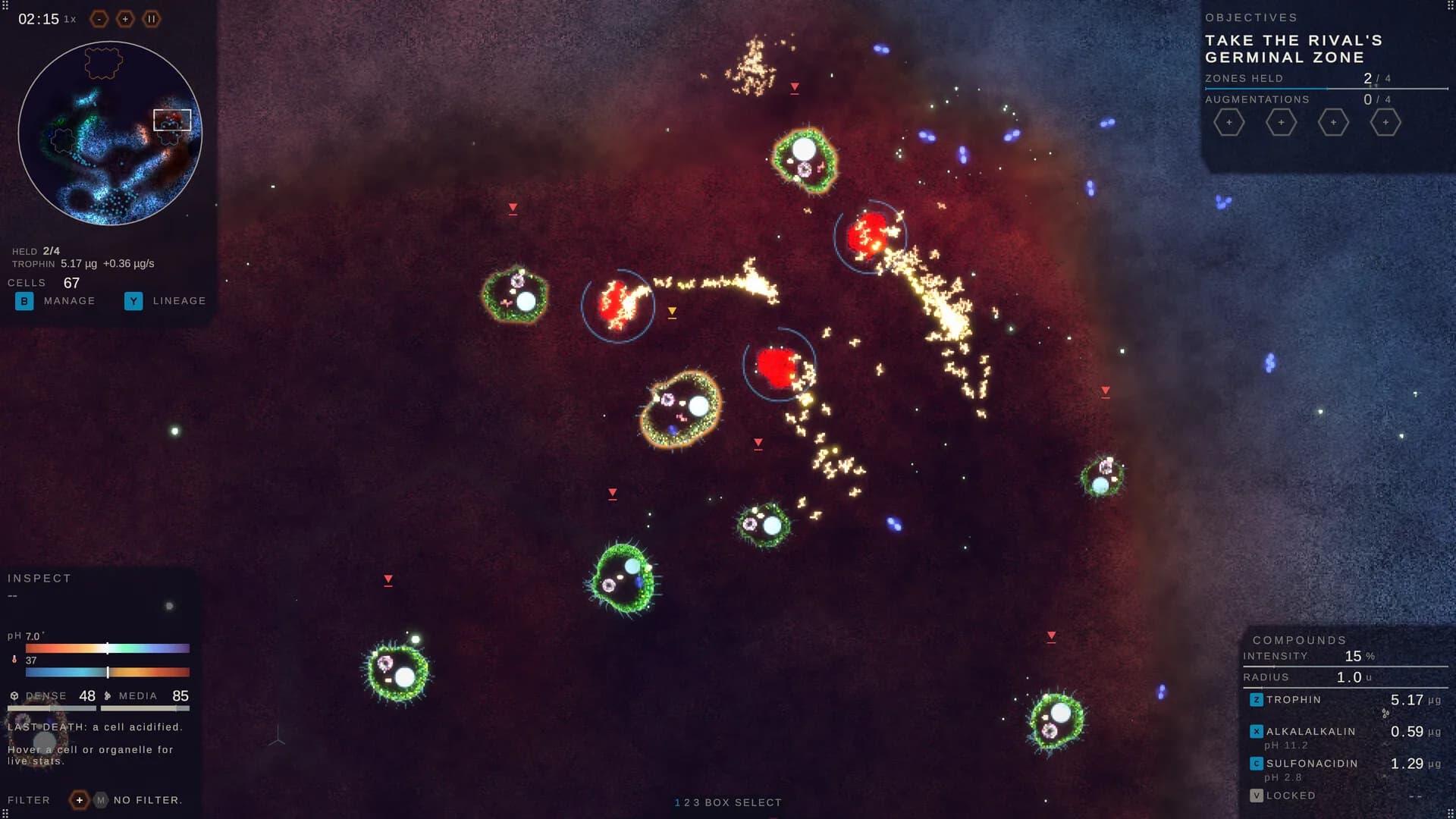 Substrate: Emergence : un neuroscientifique fait un jeu où rien n'est scripté et où vos cellules s'éteignent
