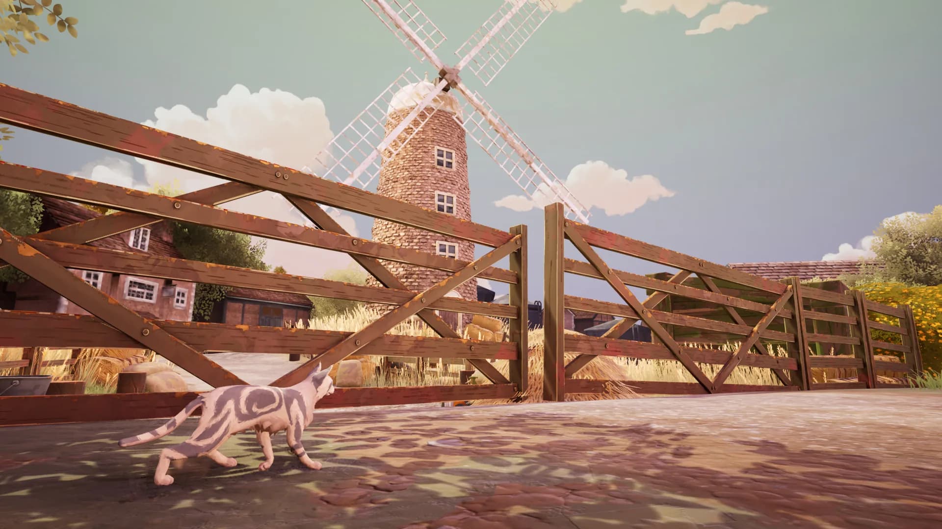 Warrior Cats, la creation de personnage