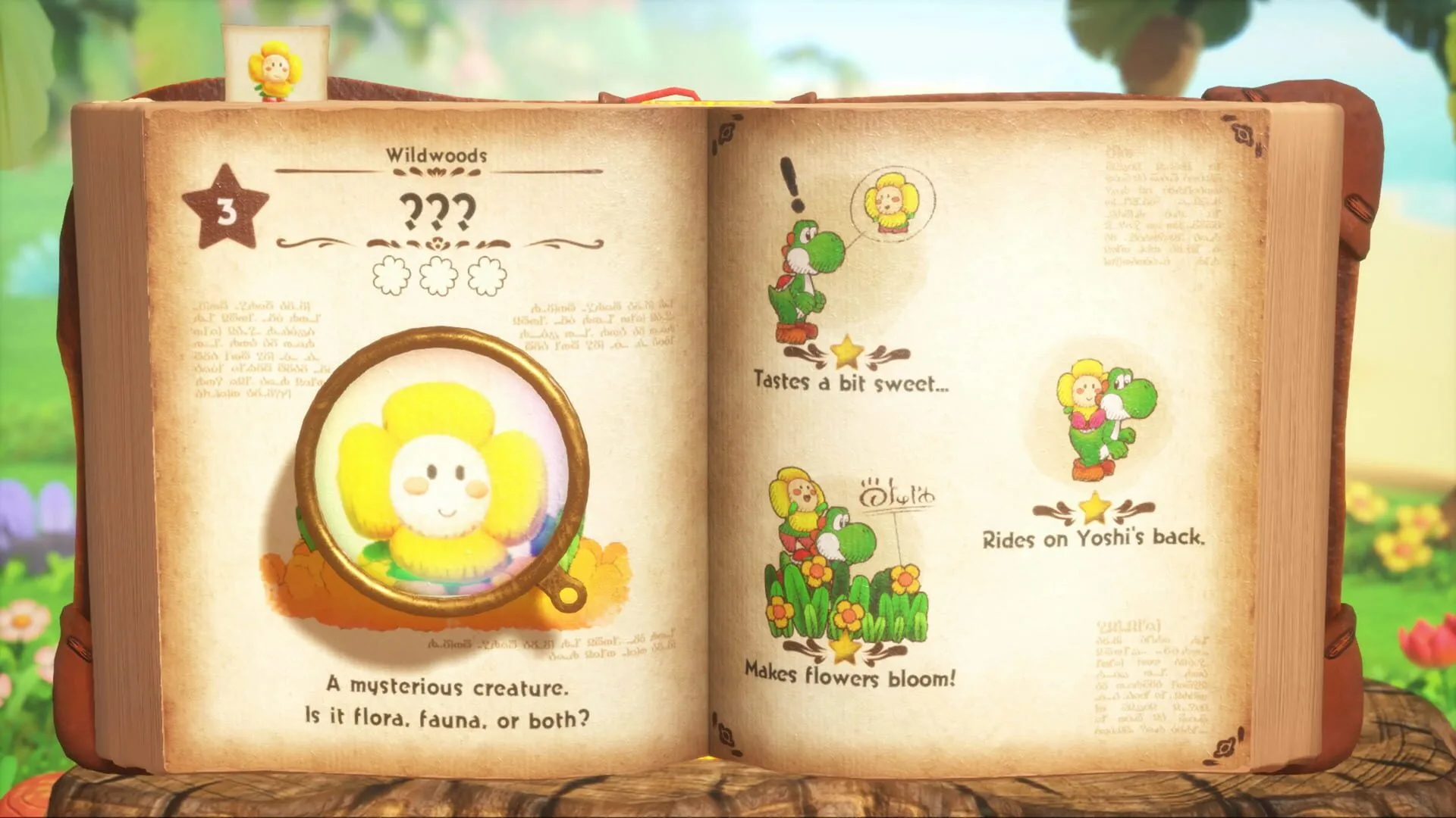 Yoshi et le Livre Mystérieux, niveaux